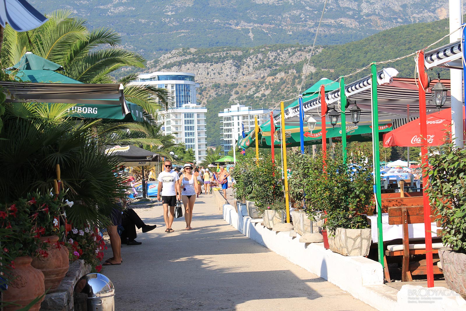 Budva